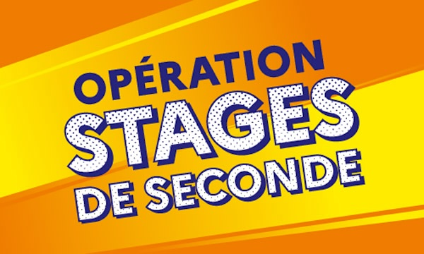 Stage de seconde en séjour linguistique